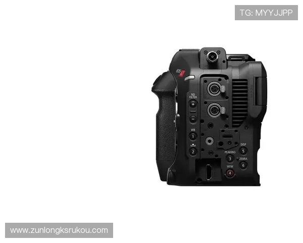 尊龙z6地址平台安全登录指南，保障账号信息安全的实用技巧