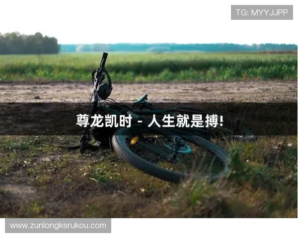 搏击人生的真谛，尊龙凯时带你探索心灵的深处